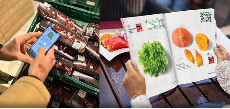 Kaufland case study