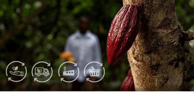 Procesadora Tropical case study