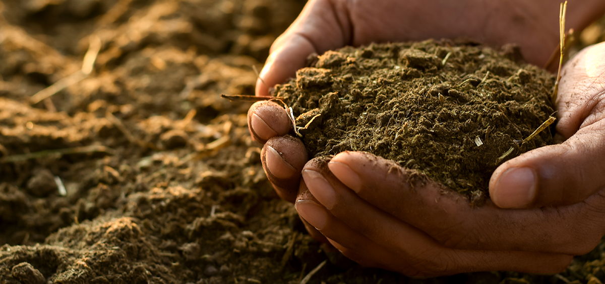 Soil Degradation AGRIVI