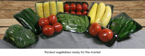 Packed Vegetables